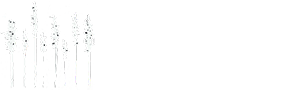 The Woodlands B&B